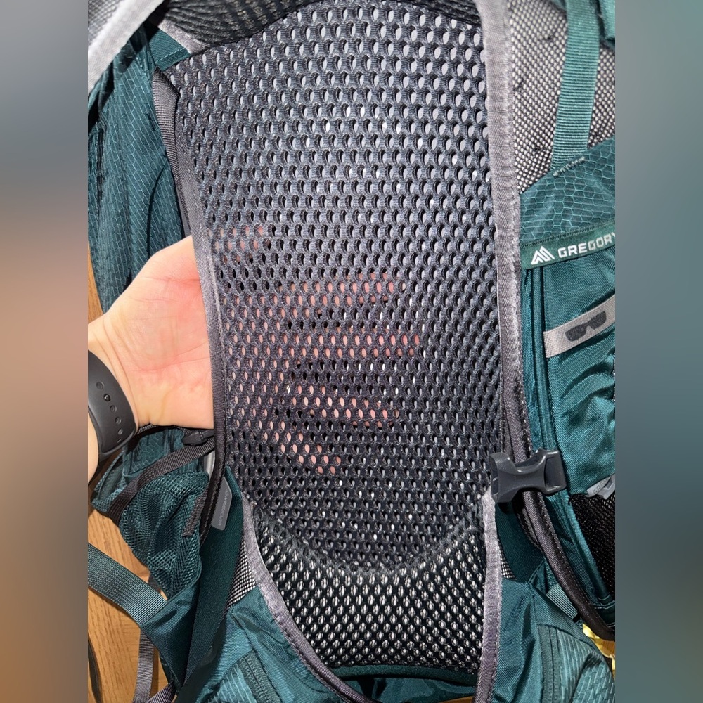 Gregory Juno 30 Backpack in the color Emerald Green - Picture 7 of 13